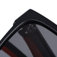 Fox Collection Black Orange Shades Grey Lens